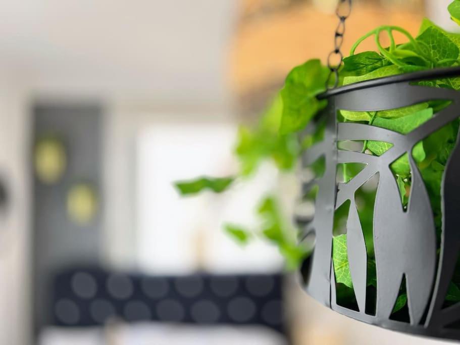 The Coxhill Retreat - Indoor Rainforest Spa Holiday home Dover