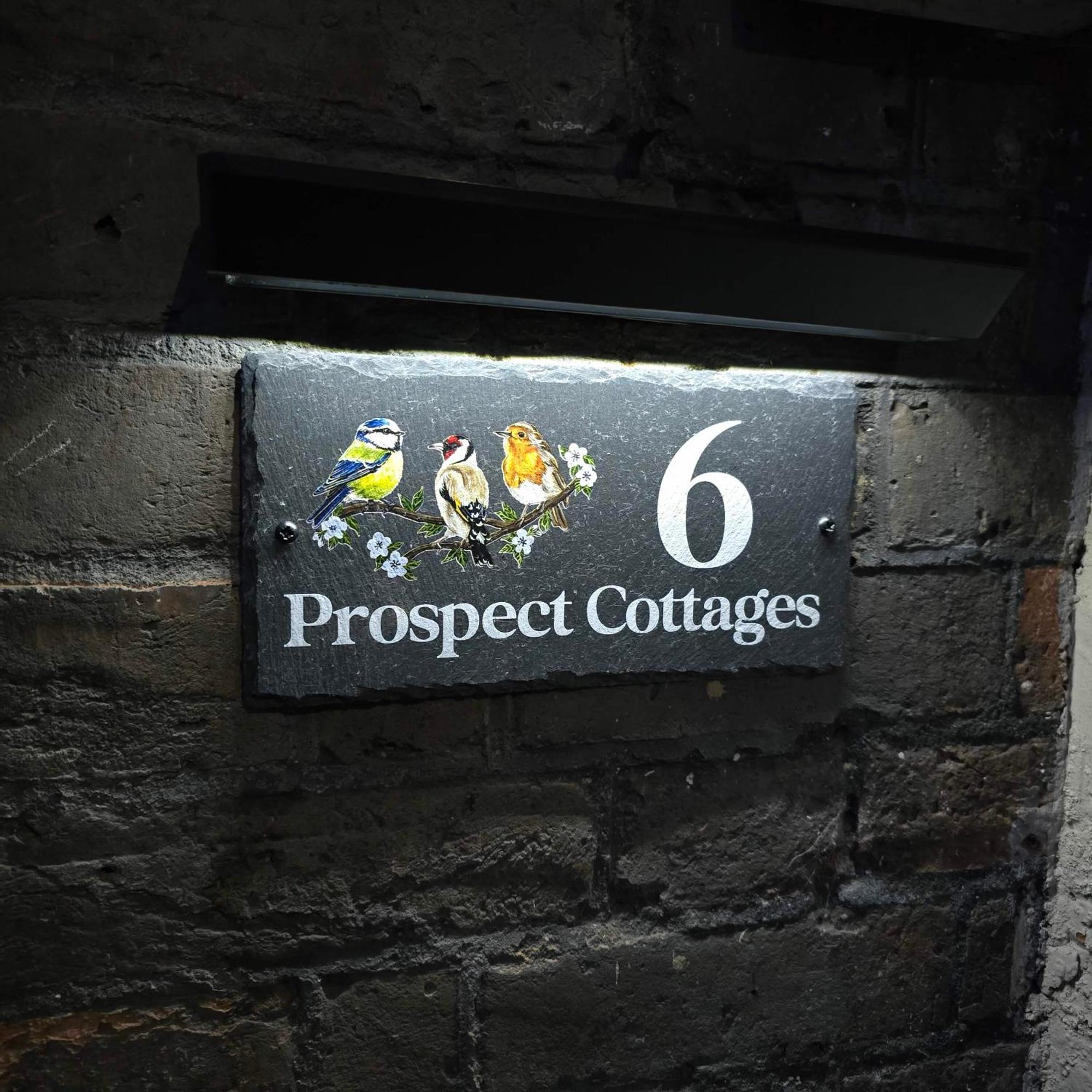 Prospects