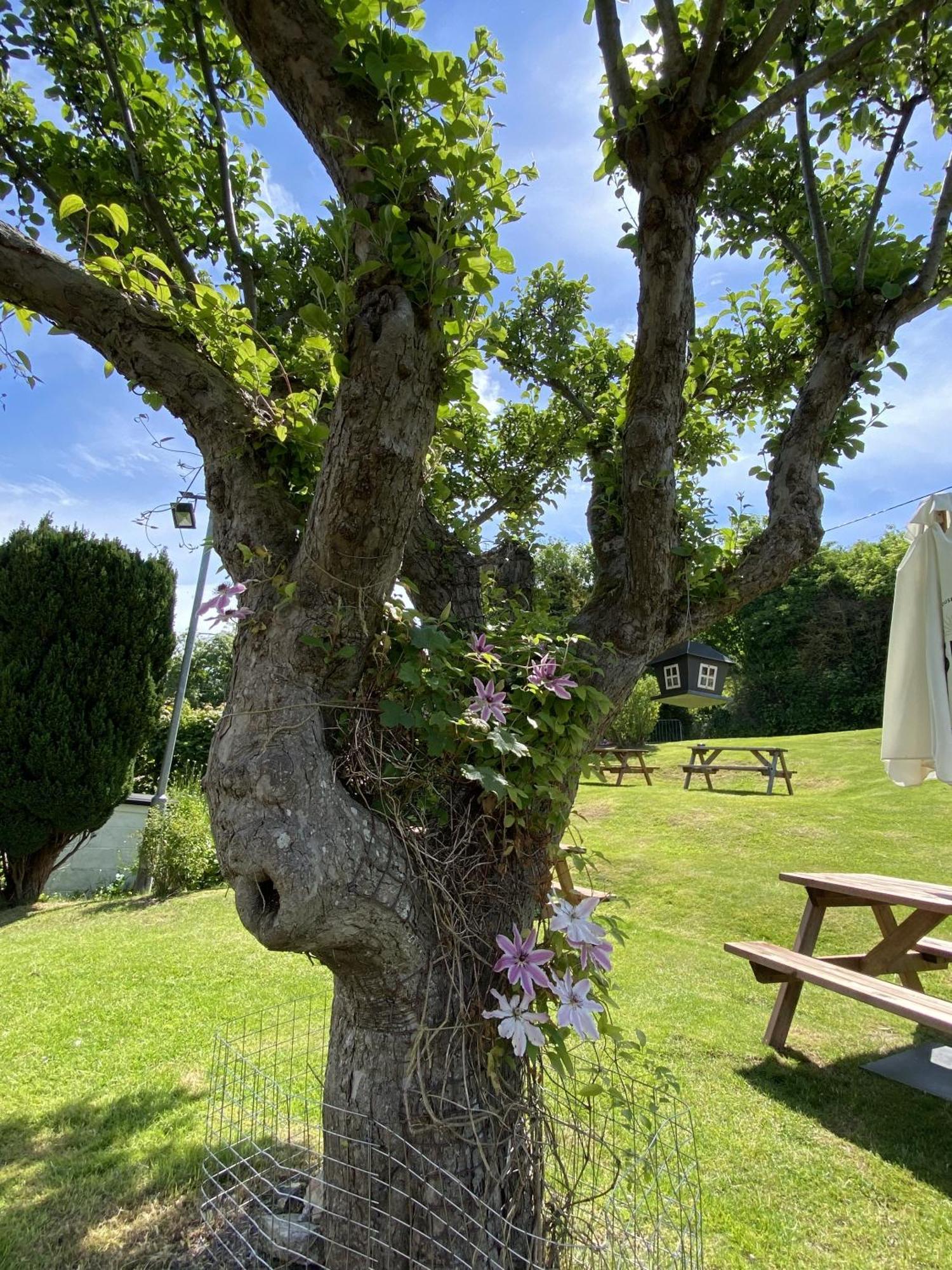 The Bell Bed & Breakfast Lydden